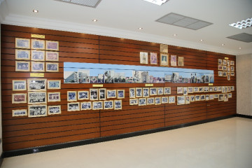 MartinCollection-37.jpg